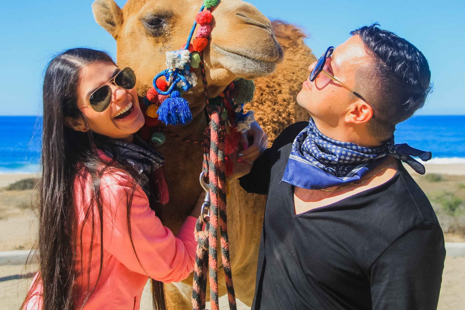 Los Cabos: aventura de safari en camello