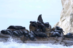 Los Cabos: City Tour with Cruise, Snorkeling, and Tastings