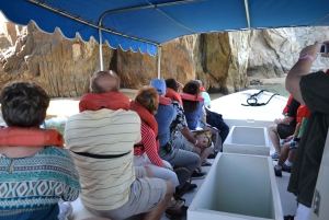 Los Cabos: City Tour with Cruise, Snorkeling, and Tastings