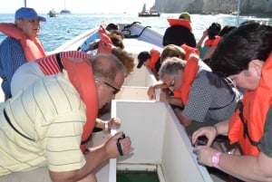 Los Cabos: City Tour with Cruise, Snorkeling, and Tastings