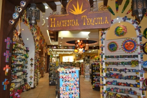 Los Cabos: City Tour with Cruise, Snorkeling, and Tastings