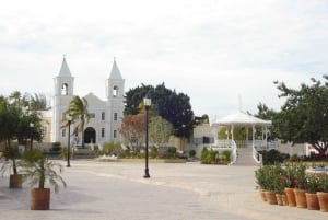 Los Cabos: City Tour with Cruise, Snorkeling, and Tastings