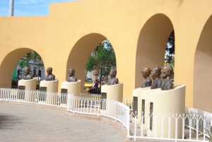 Los Cabos: City Tour with Cruise, Snorkeling, and Tastings