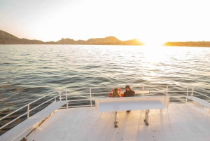 Los Cabos: Sunset Dinner Cruise with Transportation