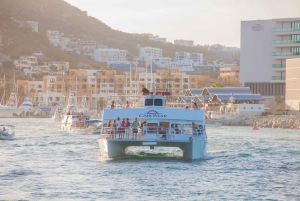 Los Cabos: Sunset Dinner Cruise with Transportation