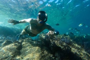 Los Cabos: SUP to The Arch & Snorkel + Transport & Photos