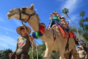 Los Cabos: Pase al Parque del Cañón Salvaje