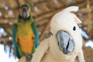 Los Cabos: Pase al Parque del Cañón Salvaje