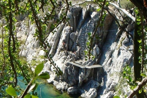 Los Cabos: Zip Lines and UTVs with Mexican Lunch and Drinks