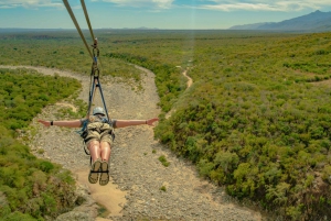 Los Cabos: Zip Lines and UTVs with Mexican Lunch and Drinks