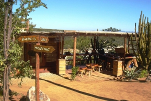 Los Cabos: Zip Lines and UTVs with Mexican Lunch and Drinks
