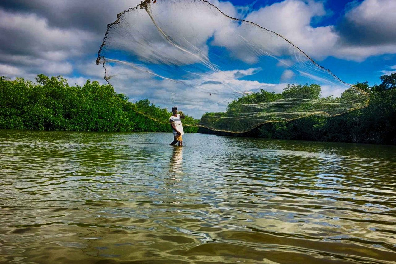 Excursión en canoa por los manglares de La Boquilla Guía alemán o italiano