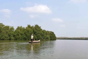 Mangrove Canoe Tour in La Boquilla German or Italian Guide