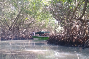 Mangroves, cultural fishing, black heritage town and lunch