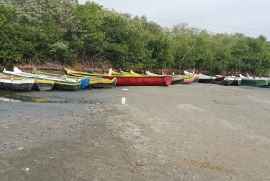 Manglares, pesca cultural, ciudad del patrimonio negro y almuerzo