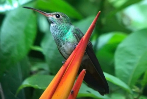 Visita guiada al Parque Nacional Manuel Antonio