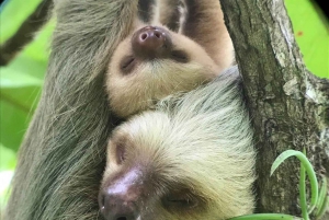 Visita guiada al Parque Nacional Manuel Antonio