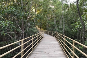 Visita guiada al Parque Nacional Manuel Antonio