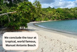 Manuel Antonio Park: Guided Walking Tour with a Naturalist