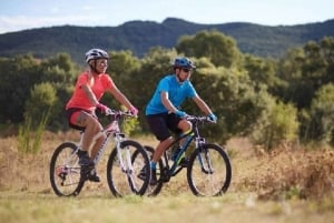 Maspalomas: alquiler de bicicleta de montaña de 1 a 7 días