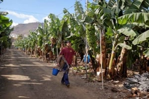 Maspalomas: 1 to 7-Day Mountain Bike Rental