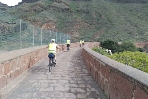 Maspalomas: Ayagaures E-Bike Excursión por la montaña Tapas opcionales