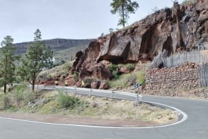 Maspalomas: Ayagaures E-Bike Excursión por la montaña Tapas opcionales