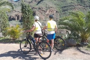 Maspalomas: Ayagaures E-Bike Excursión por la montaña Tapas opcionales