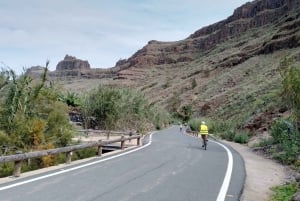 Maspalomas: Ayagaures E-Bike Excursión por la montaña Tapas opcionales