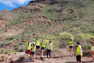 Maspalomas: Ayagaures E-Bike Excursión por la montaña Tapas opcionales