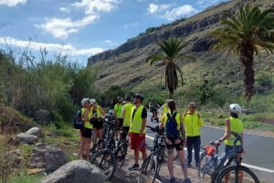 Maspalomas: Ayagaures E-Bike Mountain Tour Optional Tapas