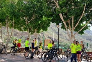 Maspalomas: Ayagaures E-Bike Mountain Tour Optional Tapas