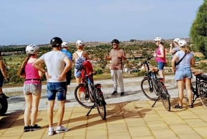 Maspalomas: Ayagaures E-Bike Excursión por la montaña Tapas opcionales