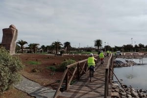 Maspalomas: Ayagaures E-Bike Mountain Tour Optional Tapas