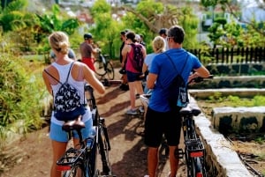 Maspalomas: Ayagaures E-Bike Mountain Tour Optional Tapas