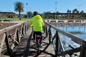 Maspalomas: Ayagaures E-Bike Excursión por la montaña Tapas opcionales