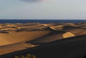 Maspalomas: Ayagaures E-Bike Mountain Tour Optional Tapas