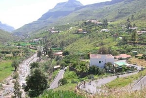 Maspalomas: Ayagaures E-Bike Excursión por la montaña Tapas opcionales