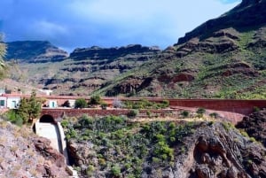 Maspalomas: Ayagaures E-Bike Excursión por la montaña Tapas opcionales