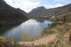 Maspalomas: Ayagaures E-Bike Excursión por la montaña Tapas opcionales