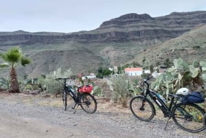 Maspalomas: Ayagaures E-Bike Excursión por la montaña Tapas opcionales