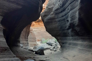 Maspalomas: Barranco de las Vacas, Caves, Farmhouse Tour