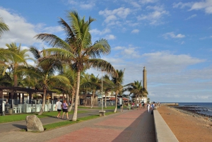 Maspalomas: Alquiler City Bike opcional Silla Bebé o Bicicleta Niño