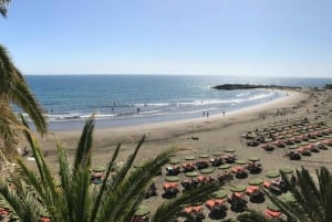 Maspalomas: Alquiler City Bike opcional Silla Bebé o Bicicleta Niño