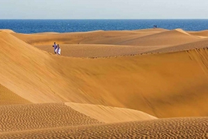 Maspalomas: Alquiler City Bike opcional Silla Bebé o Bicicleta Niño