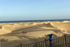 Maspalomas: 2-Seater Chopper E-Scooter Rental