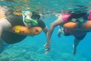 Miami: Day Trip to Key West with Optional Activities