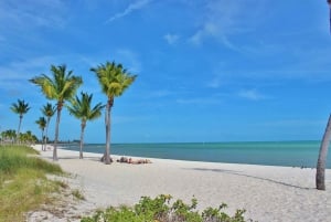 Miami: Key West Transfer with free hotel pickup + Upgrades