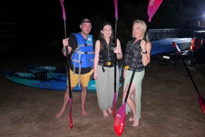 Experiencia en Kayak en la bahía de Mosquito, Vieques