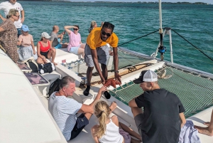 Nassau: Snorkel, Playa del Cerdo, Nadar con Tortugas y Almuerzo